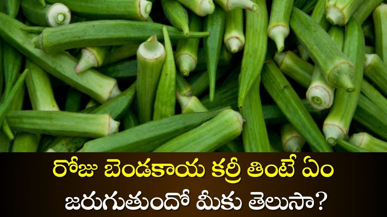  Lady Finger: రోజు బెండకాయ కర్రీ తింటే ఏం జరుగుతుందో మీకు తెలుసా?