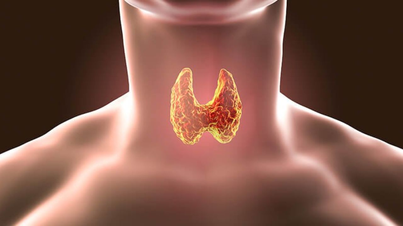 What Is Auto Immune Disease: హషిమోటో థైరాయిడిటిస్ అంటే..? ఎటు వంటి చికిత్స పొందాలి..? 