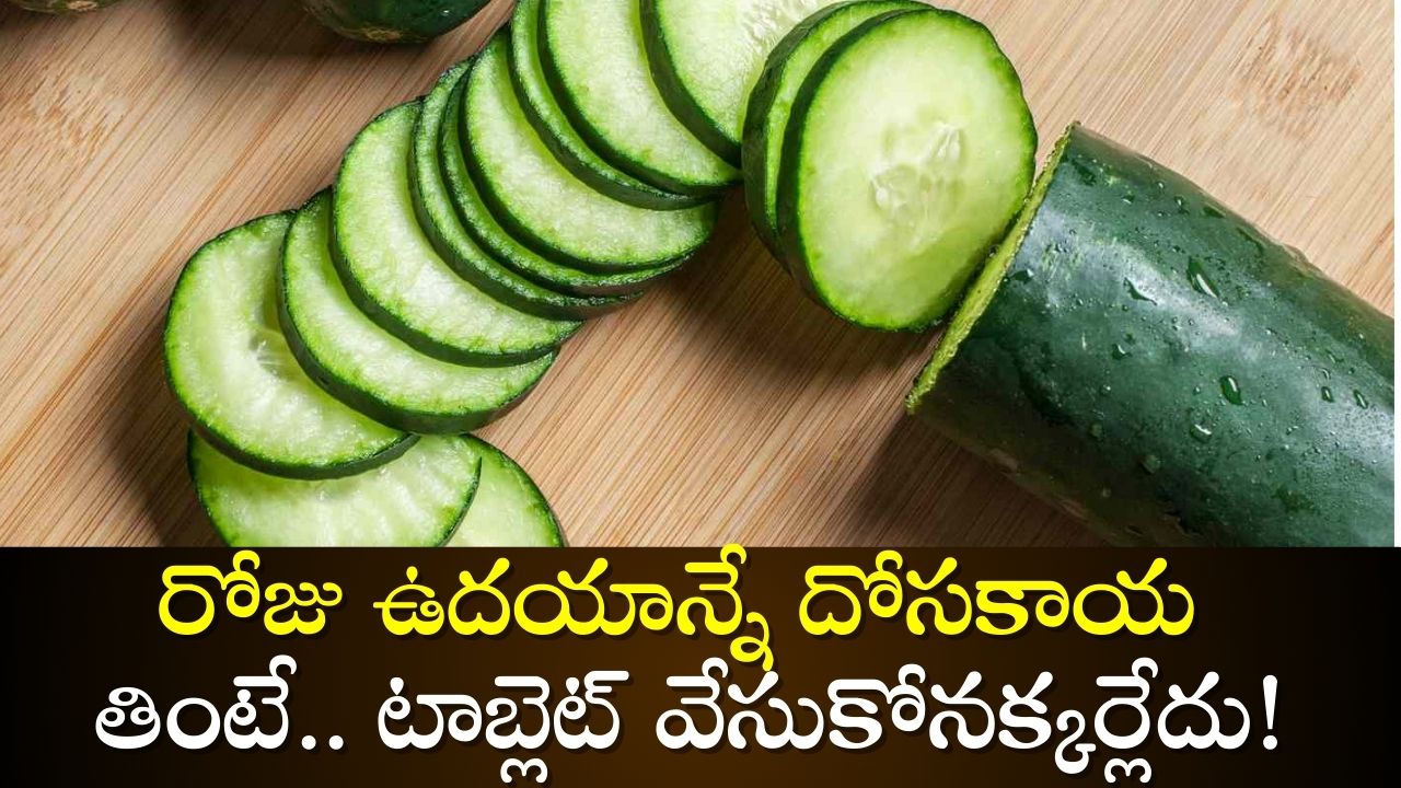Cucumber Facts: రోజు ఉదయాన్నే దోసకాయ తింటే.. భవిష్యత్తులో ఈ రోగాలకు టాబ్లెట్ వేసుకోనక్కర్లేదు! Cucumber Facts: రోజు ఉదయాన్నే దోసకాయ తింటే.. భవిష్యత్తులో ఈ రోగాలకు టాబ్లెట్ వేసుకోనక్కర్లేదు!