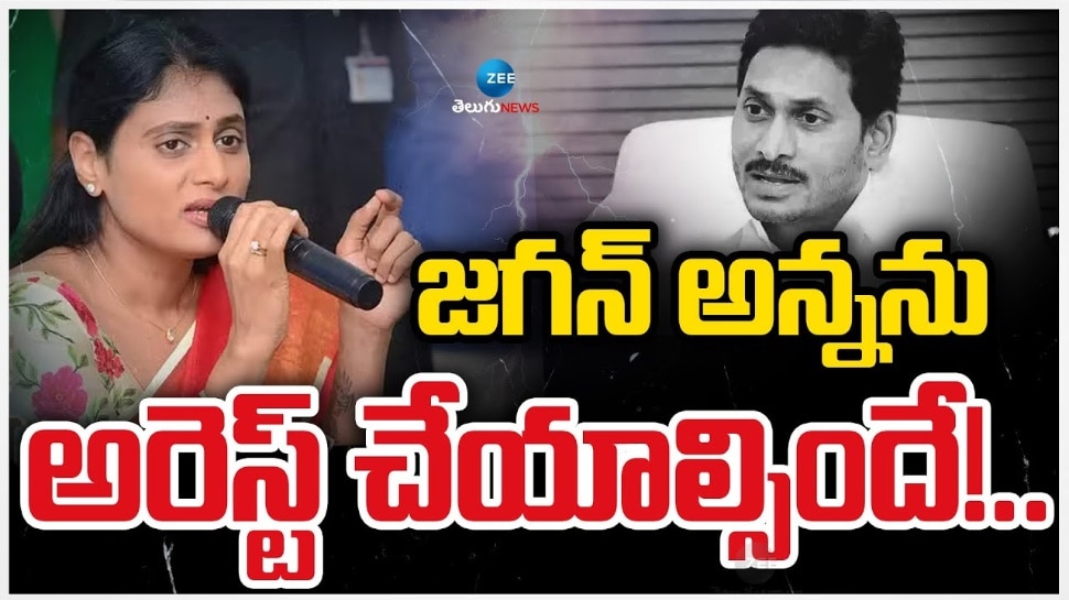 YS Sharmila: విషనాగుల వెనుక ఉన్న అనకొండ వైఎస్‌ జగన్‌ను అరెస్ట్‌ చేయాలి