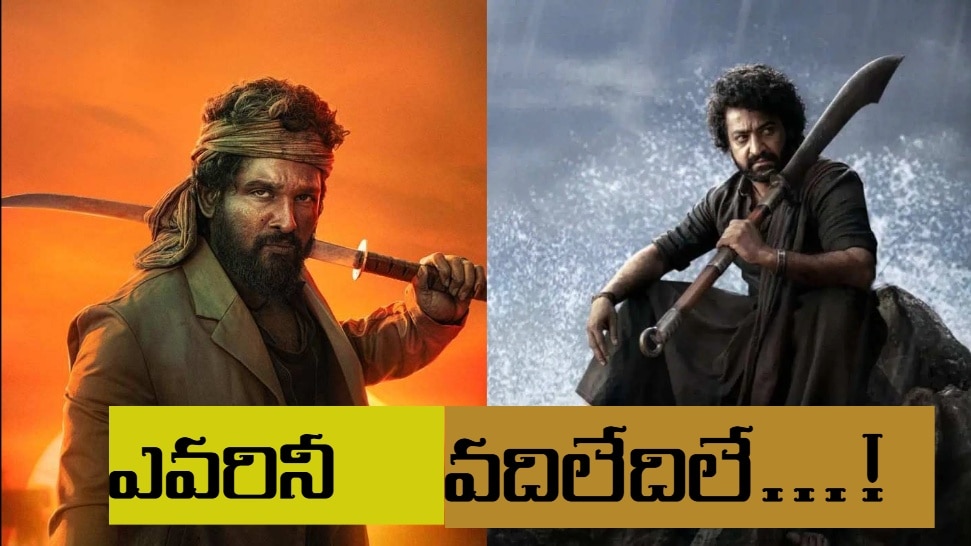 jr ntr and allu arjun:  జూనియర్ ఎన్టీఆర్,అల్లు అర్జున్ కు కొత్త సమస్య, ఆ పార్టీ అభిమానులతో ఈ ఇద్దరు హీరోలు ఇబ్బంది పడుతున్నారా..?