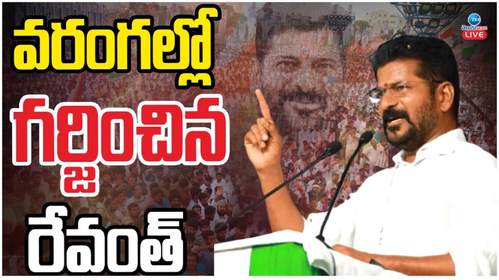 Revanth Reddy VS KCR: కేసీఆర్ కాస్కో.. నిన్ను మళ్లీ గడ్డమీద మొలవనివ్వ.. కాక రేపుతున్న సీఎం రేవంత్ వ్యాఖ్యలు.. వీడియో ఇదే..