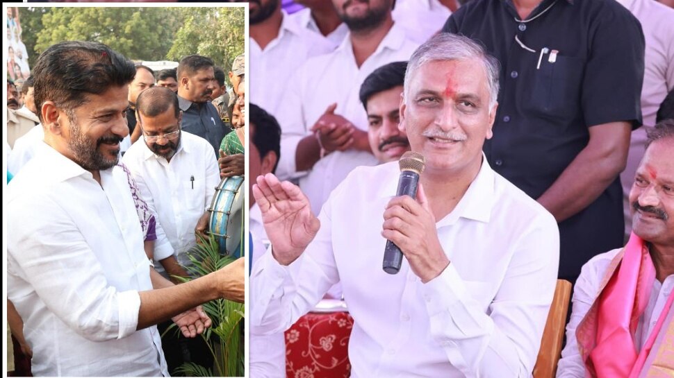 Harish Rao: రేవంత్‌కు హరీశ్‌ రావు స్ట్రాంగ్‌ కౌంటర్‌.. 'కేసీఆర్ కలుపు మొక్క కాదు కల్పవృక్షం'