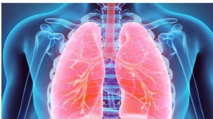 Healthy Lungs Remedies: ఈ ఫ్రూట్స్ తింటే చాలు ఊపిరితిత్తుల్లో పేరుకున్న చెత్తంతా డీటాక్స్ Healthy Lungs Remedies: ఈ ఫ్రూట్స్ తింటే చాలు ఊపిరితిత్తుల్లో పేరుకున్న చెత్తంతా డీటాక్స్