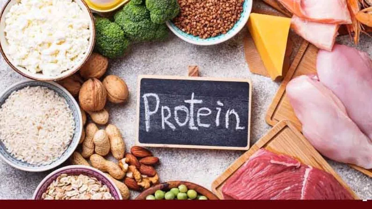 Protein Uses: అధిక ప్రోటీన్ ఉండే ఆహారాలు ఇవే.. బ్రేక్ ఫాస్ట్లో వీటిని తింటే బోలెడు లాభాలు! Protein Uses: అధిక ప్రోటీన్ ఉండే ఆహారాలు ఇవే.. బ్రేక్ ఫాస్ట్లో వీటిని తింటే బోలెడు లాభాలు!