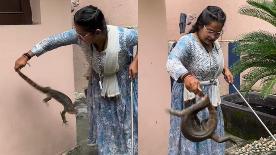 Viral Video: ఉడుమును ఒక పట్టు పట్టిన మహిళ.. ఆమె ధైర్యానికి ఫిదా అవ్వాల్సిందే.. వీడియో వైరల్..