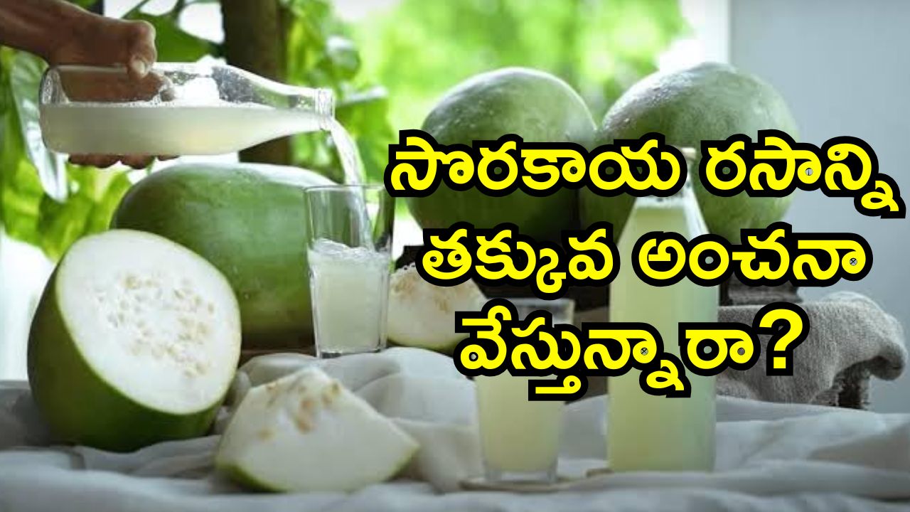 Gourd Juice: సొరకాయ రసాన్ని తక్కువ అంచనా వేస్తున్నారా? ఇవి తెలిస్తే అస్సలు వదలరు!