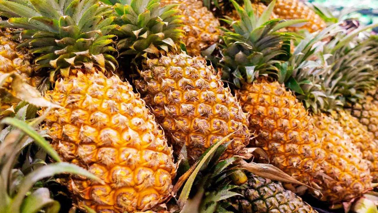 Pineapple Benefits: పైనాపిల్ తింటే ఈ సమస్యలన్నీ దూరం.. ఉపయోగాలు ఏంటో తెలుసుకోండి!