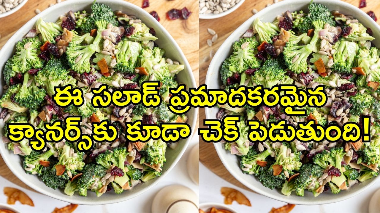Broccoli Salad Recipe: ఈ సలాడ్ ప్రమాదకరమైన క్యానర్స్కు కూడా చెక్ పెడుతుంది! Broccoli Salad Recipe: ఈ సలాడ్ ప్రమాదకరమైన క్యానర్స్కు కూడా చెక్ పెడుతుంది!