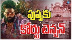 Pushpa 2 High Court: 'పుష్ప 2' చూడాలంటే రూ.10 వేలు ఖర్చు చేయాల..? తెలంగాణ హైకోర్టు ఆగ్రహం