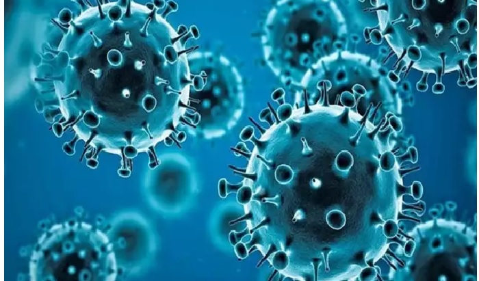 HMPV Virus: దేశంలో వేగంగా వ్యాపిస్తున్న హెచ్ఎంపీవీ, ఏం చేయాలి, ఏం చేయకూడదు HMPV Virus: దేశంలో వేగంగా వ్యాపిస్తున్న హెచ్ఎంపీవీ, ఏం చేయాలి, ఏం చేయకూడదు