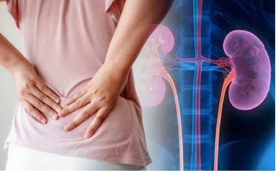 Urine Infections: యూరిన్ ఇన్‌ఫెక్షన్ కారణాలేంటి, లక్షణాలు ఎలా ఉంటాయి