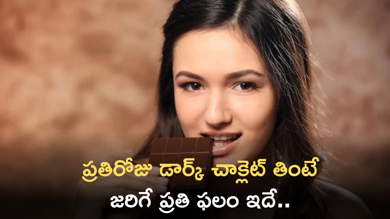 Dark Chocolate: ప్రతిరోజు డార్క్ చాక్లెట్ తింటే జరిగే ప్రతి ఫలం ఇదే.. Dark Chocolate: ప్రతిరోజు డార్క్ చాక్లెట్ తింటే జరిగే ప్రతి ఫలం ఇదే..