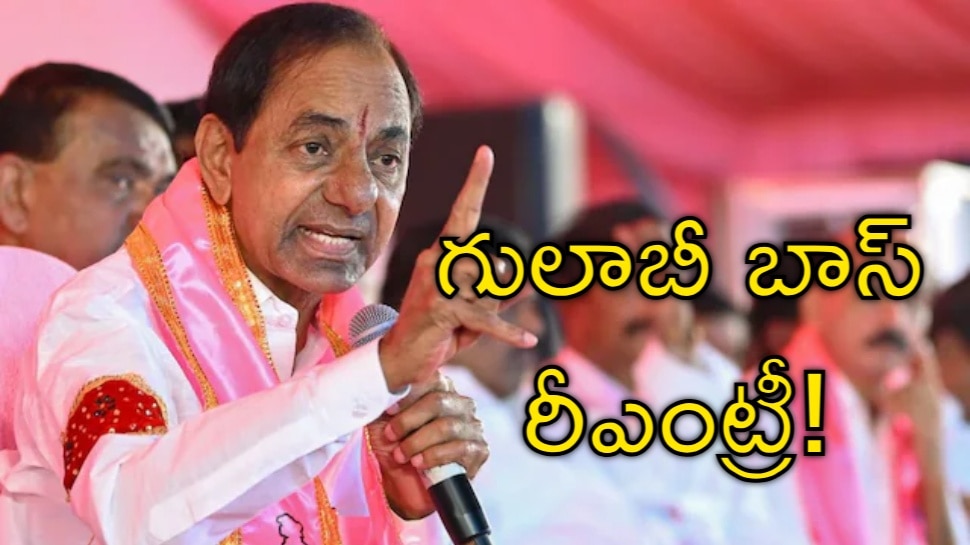 Back To KCR: బీఆర్‌ఎస్‌ పార్టీ @ 25 ఏళ్లు.. 19న మాజీ సీఎం కేసీఆర్‌ సంచలన నిర్ణయం?