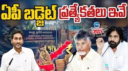 AP Budget: ఏపీ బడ్జెట్‌లో మాజీ సీఎం వైఎస్‌ జగన్‌పై విమర్శలకు ఒక పేజీ?