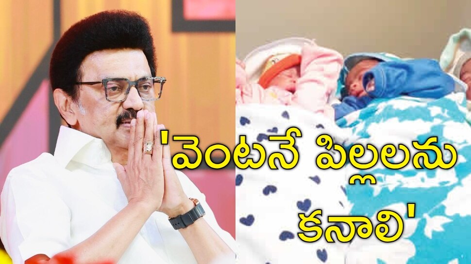 MK Stalin: 'కొత్తగా పెళ్లయిన వారికి ముఖ్యమంత్రి సంచలన విజ్ఞప్తి.. పిల్లలను కనేయండి'