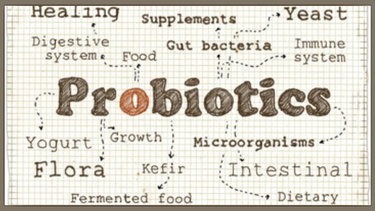 Probiotics Benefits: ప్రోబయోటిక్స్ అధికంగా లభించే ఆహారపదార్థాలు ఇవే.. Probiotics Benefits: ప్రోబయోటిక్స్ అధికంగా లభించే ఆహారపదార్థాలు ఇవే..