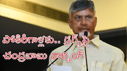 Chandrababu: ప్రేమ పేరుతో అమ్మాయిలను ట్రాప్ చేస్తే తాట తీస్తా: సీఎం చంద్రబాబు
