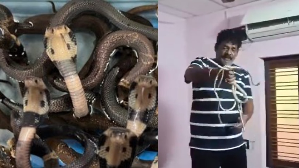 Snakes in AC Video: వామ్మో.. ఏసీలో కుప్పలు.. తెప్పలుగా పాములు.. వీడియో చూస్తే జడుసుకోవడం పక్కా..
