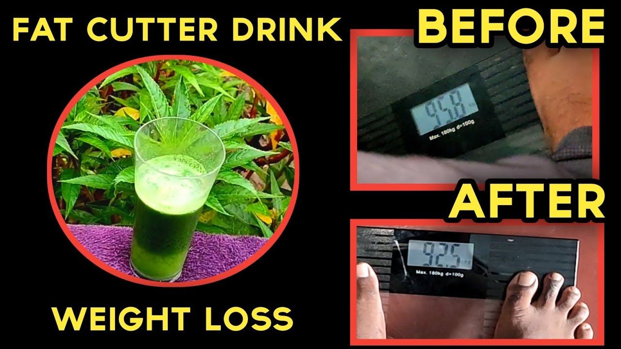 Moringa Juice For weight Loss Drink: రోజు పరగడుపున ఈ జ్యూస్‌ తాగితే.. జీరో ఫిగర్ మీసొంతం..  