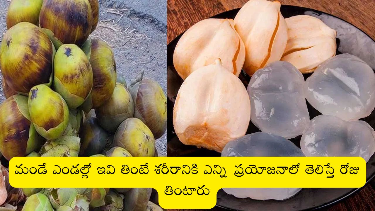 Ice Apple: మండే ఎండల్లో ఇవి తింటే శరీరానికి ఎన్ని ప్రయోజనాలో తెలిస్తే రోజు తింటారు..