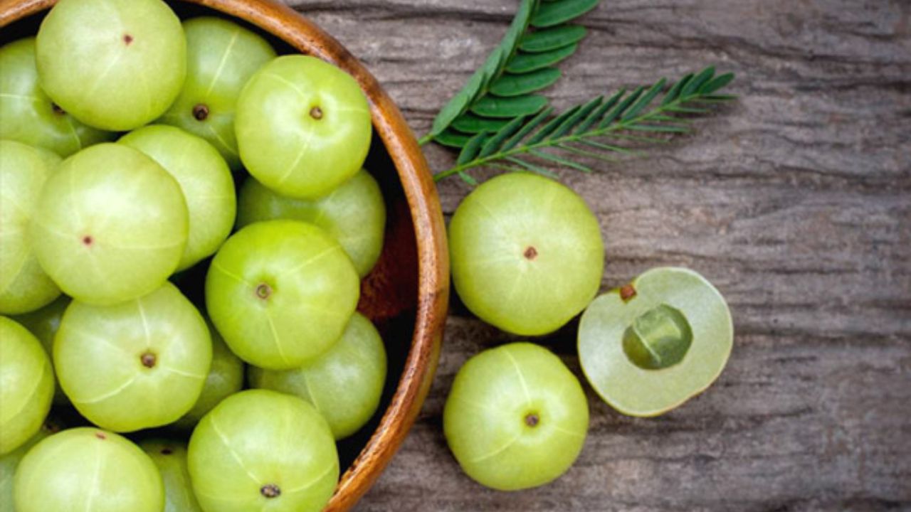 Amla Uses: ప్రతిరోజు ఉదయాన్నే ఒక్క ఉసిరికాయ ఈ లాభాలు మీసొంతం.. Amla Uses: ప్రతిరోజు ఉదయాన్నే ఒక్క ఉసిరికాయ ఈ లాభాలు మీసొంతం..