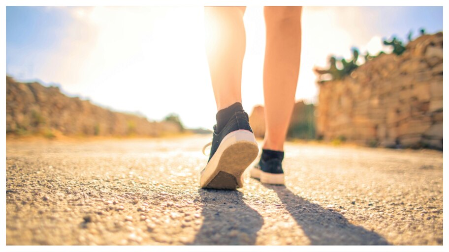 Morning Vs Evening Walk: ఉదయం లేదా సాయంత్రం గుండె ఆరోగ్యానికి ఎప్పుడు వాకింగ్ చేయాలి?