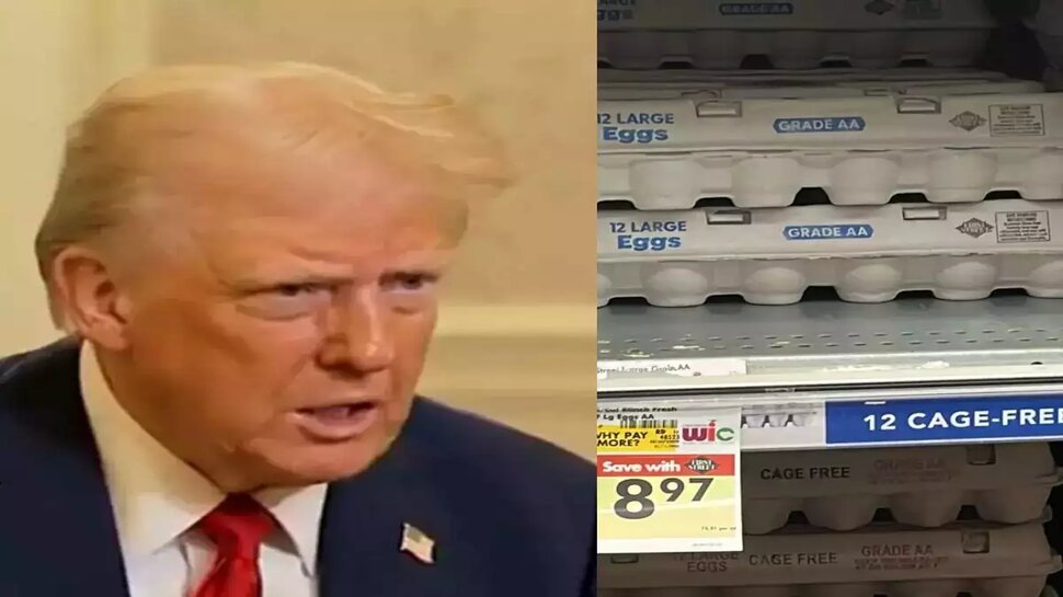 Egg Prices: గుడ్డు కూడా తినకుండా చేశాడు.. ఈ ట్రంప్ మావ పాలనలో కష్టమే