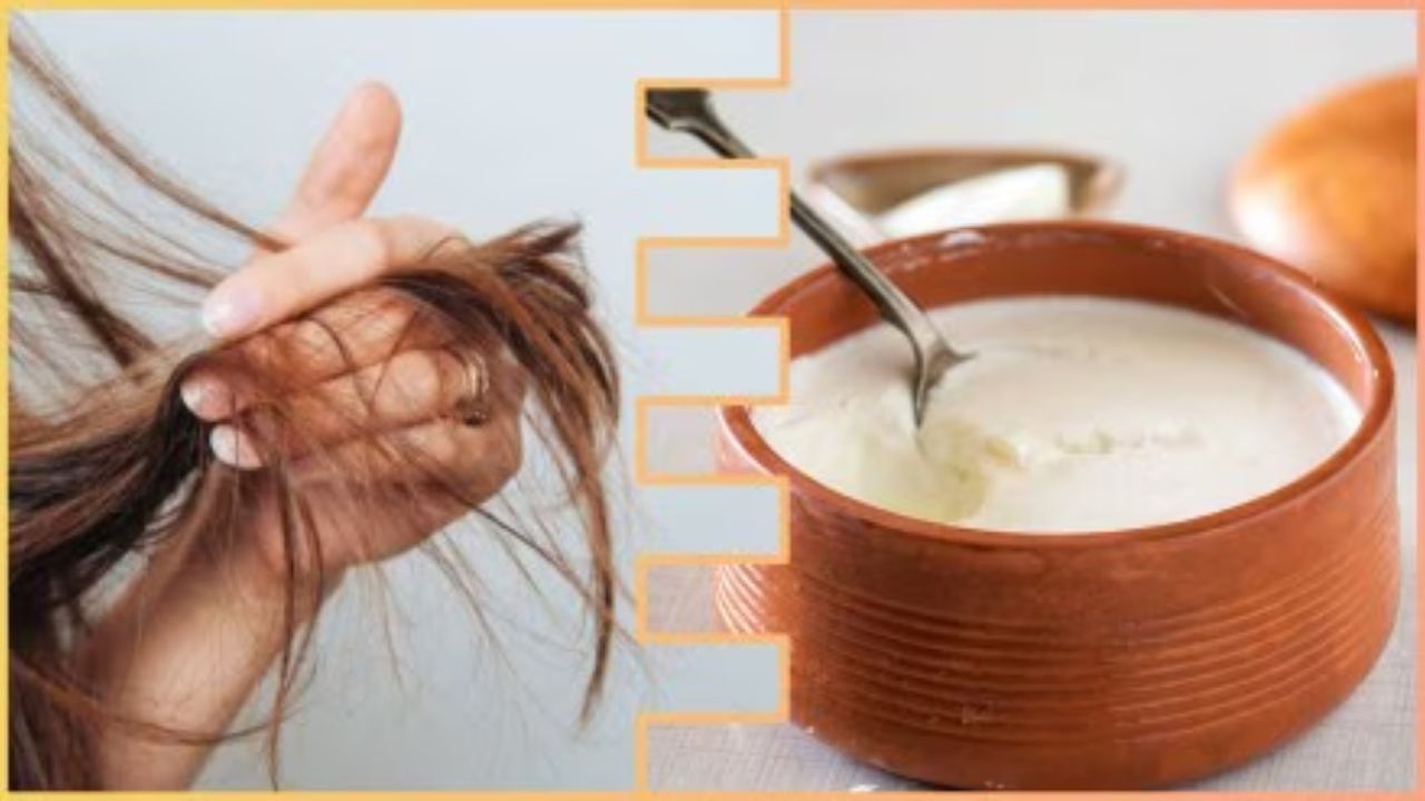 Amazing Benefits With Curd: పెరుగుతో చర్మానికి & జుట్టుకు కలిగే అద్భుతమైన ఉపయోగాలు ఇవే..! Amazing Benefits With Curd: పెరుగుతో చర్మానికి & జుట్టుకు కలిగే అద్భుతమైన ఉపయోగాలు ఇవే..!