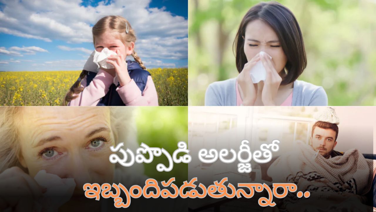 Pollen Allergy: పుప్పొడి అలర్జీతో ఇబ్బందిపడుతున్నారా.. ఈ జాగ్రత్తలు పాటిస్తే సరిపోతుంది!!