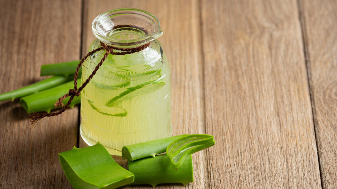 Aloe Vera Juice: అలోవెరా జ్యూస్.. ఇలా ఒక్కసారి తాగితే మళ్ళీ వదిలిపెట్టరు..! Aloe Vera Juice: అలోవెరా జ్యూస్.. ఇలా ఒక్కసారి తాగితే మళ్ళీ వదిలిపెట్టరు..!