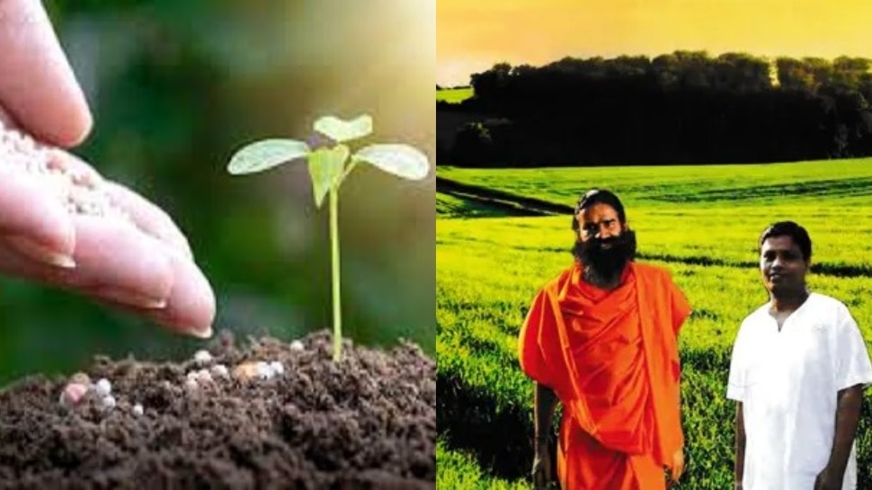 Patanjali Organic Farming: సవాళ్లను అధిగమించిన పతంజలి సేంద్రీయ ఉద్యమం Patanjali Organic Farming: సవాళ్లను అధిగమించిన పతంజలి సేంద్రీయ ఉద్యమం