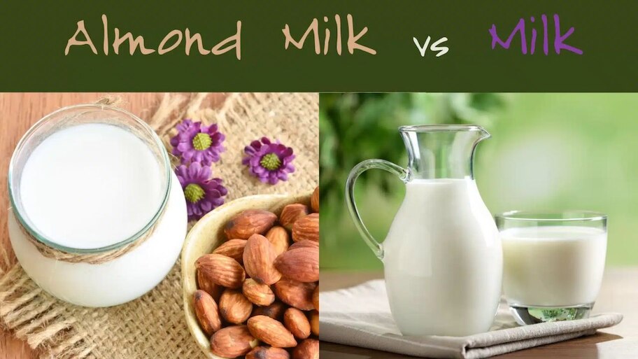 Badam Milk Vs Packet Milk: ఆరోగ్యానికి బాదం పాలు లేదా ప్యాకెట్ పాలు ఏదీ మంచిది?