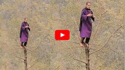 Rare Viral Video: ఓరిని సోషల్ మీడియా పిచ్చి.. కొన్ని అడుగుల ఎత్తు చెట్టుపై డ్యాన్స్ చేస్తూ రీల్స్.. వీడియో చూడండి.. 