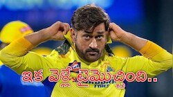 MS Dhoni Retires: సీఎస్కే ఫ్యాన్స్‌కు షాక్‌.. కొన్నిరోజుల్లోనే ధోనీ రిటైర్మెంట్‌?