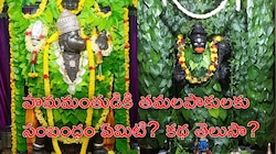 Betel Leaves: హనుమంతుడికి తమలపాకు పూజ చేస్తే ధనయోగం.. అపూర్వ కీర్తి ప్రతిష్టలు