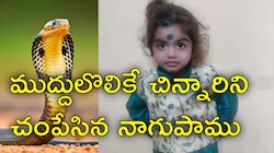 Snake Bite: వేసవి సెలవుల్లో బాలుడి ప్రాణం తీసిన నాగుపాము.. కుటుంబం ఏం చేసిందో తెలుసా