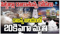 Vemulawada Kodelu: రాజన్న ఆలయంలో ఘోరం.. వేములవాడ ఆలయంలో పిట్టల్లా రాలిపోతున్న కోడెలు.. 