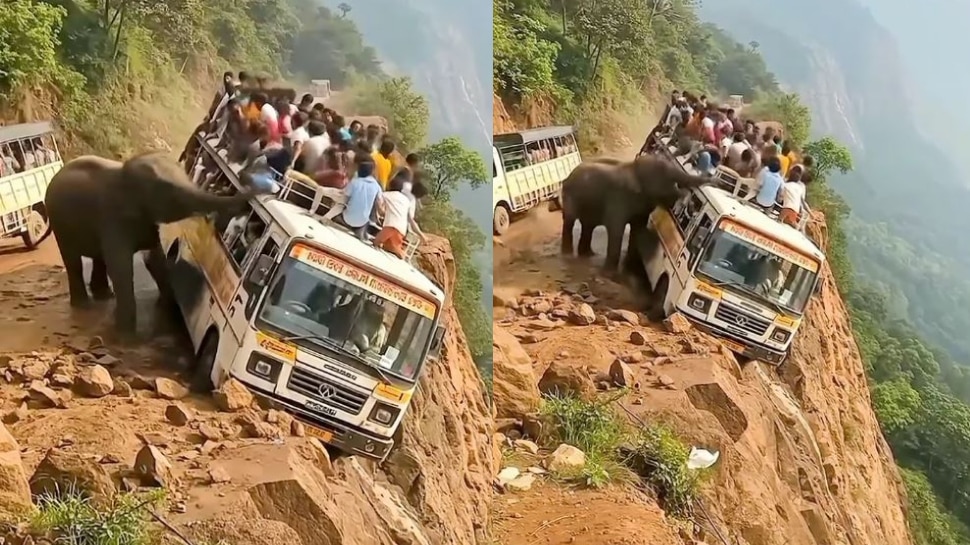Elephant Viral Video: వామ్మో..  బస్సుపై దాడికి మీద మదపుటేనుగు.. వణికిపోయిన ప్రయాణికులు.. సోషల్ మీడియాను షేక్ చేస్తున్న వీడియో..