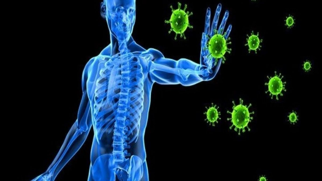 Immunity Boosters: రోగనిరోధక శక్తిని పెంచే టాప్ ఫుడ్ ఐటమ్స్ఇవే.. Immunity Boosters: రోగనిరోధక శక్తిని పెంచే టాప్ ఫుడ్ ఐటమ్స్ఇవే..