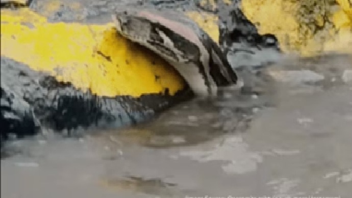 Python Video: ముంబై రోడ్లపై భారీ కొండ చెలువ, వీడియో వైరల్