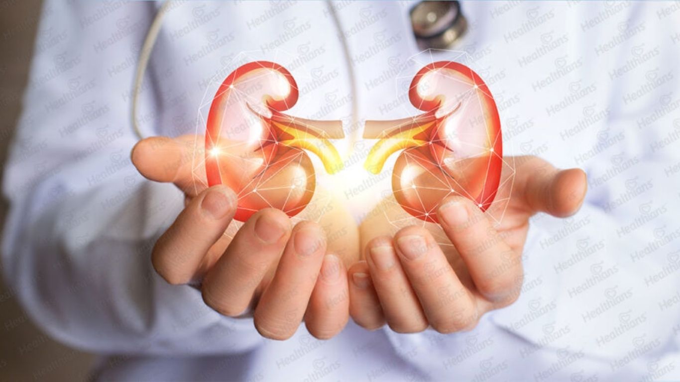 Kidney Health: కిడ్నీలను ఆరోగ్యంగా ఉండే సూపర్ ఫూడ్స్ ఇవే!