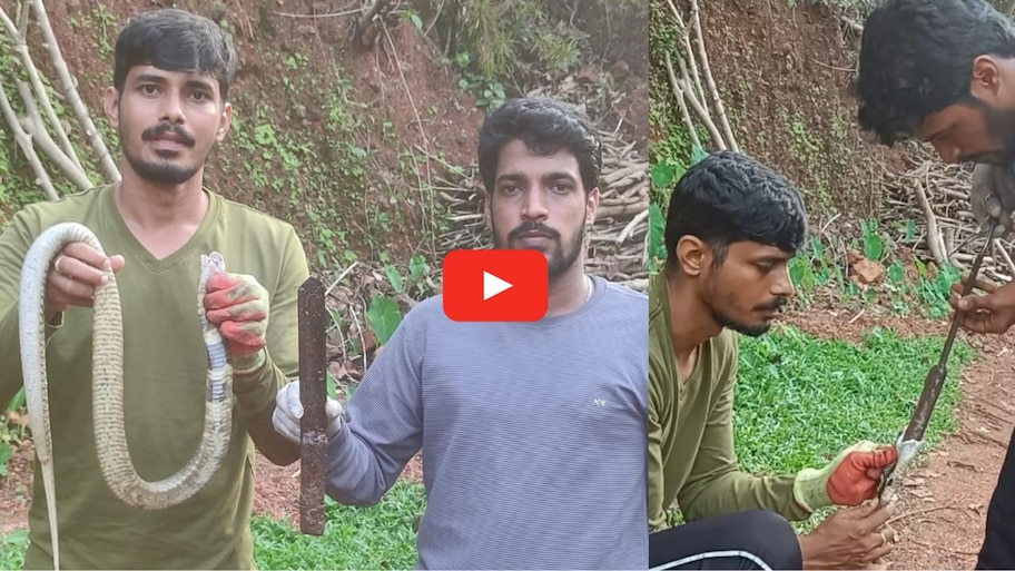 Snake Video: 2 అంగుళాల కత్తిని మింగిన పాము.. తల పట్టి ఏం చేశారంటే.. వీడియో.. 