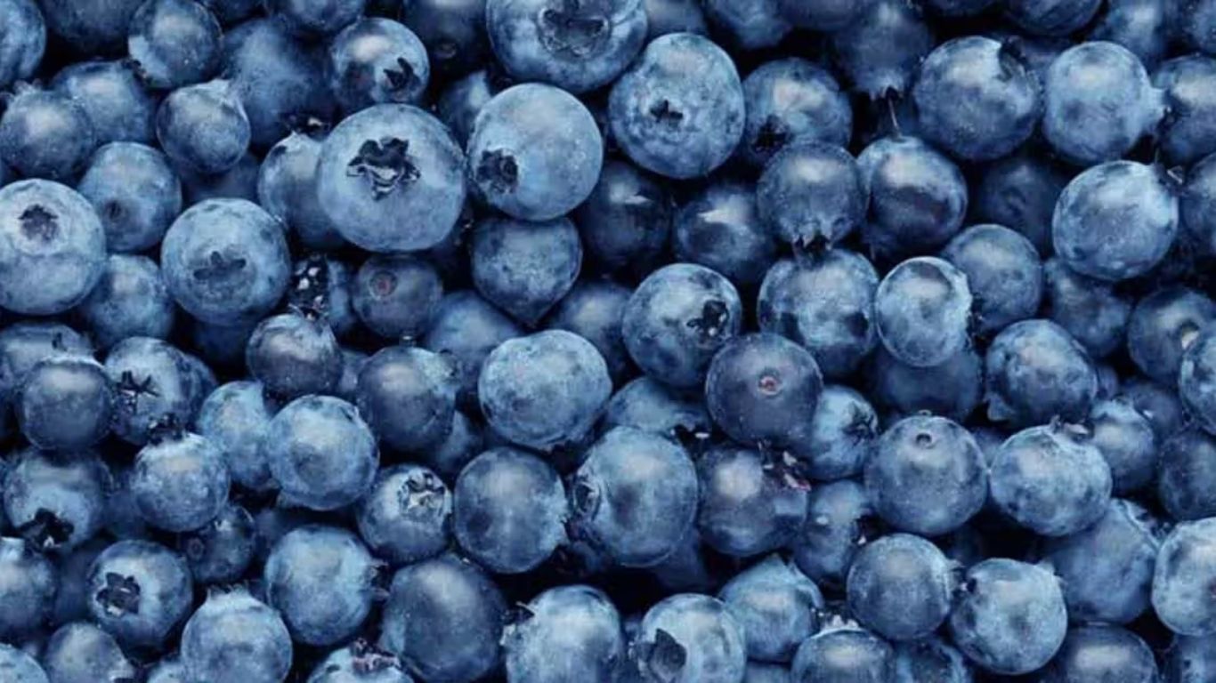 Blueberries: బ్లూ బెర్రీ తినడం వల్ల ఈ 6 ఉపయోగాలు మీసొంతం.. Blueberries: బ్లూ బెర్రీ తినడం వల్ల ఈ 6 ఉపయోగాలు మీసొంతం..
