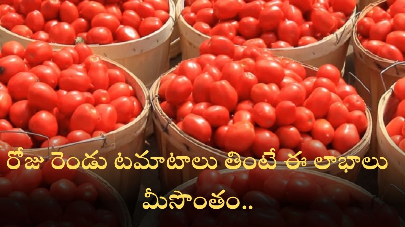 Tomato Health Benefits: రోజు రెండు టమాటాలు తింటే ఈ లాభాలు మీసొంతం.. Tomato Health Benefits: రోజు రెండు టమాటాలు తింటే ఈ లాభాలు మీసొంతం..