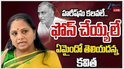K Kavitha: 'చంద్రబాబును జల దోపిడీని అడ్డుకోవడంలో రేవంత్ రెడ్డి పేపర్ పులి'