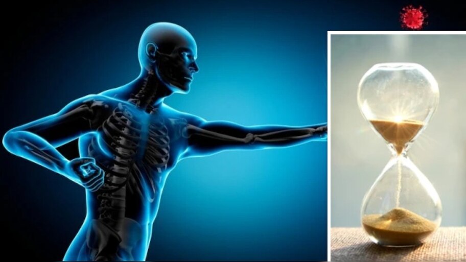 Immune System: ఈ టిప్స్‌ పాటిస్తే 100 ఏళ్లు బతికేస్తారు.. అద్భుతమైన టిప్స్‌ ఇవే!