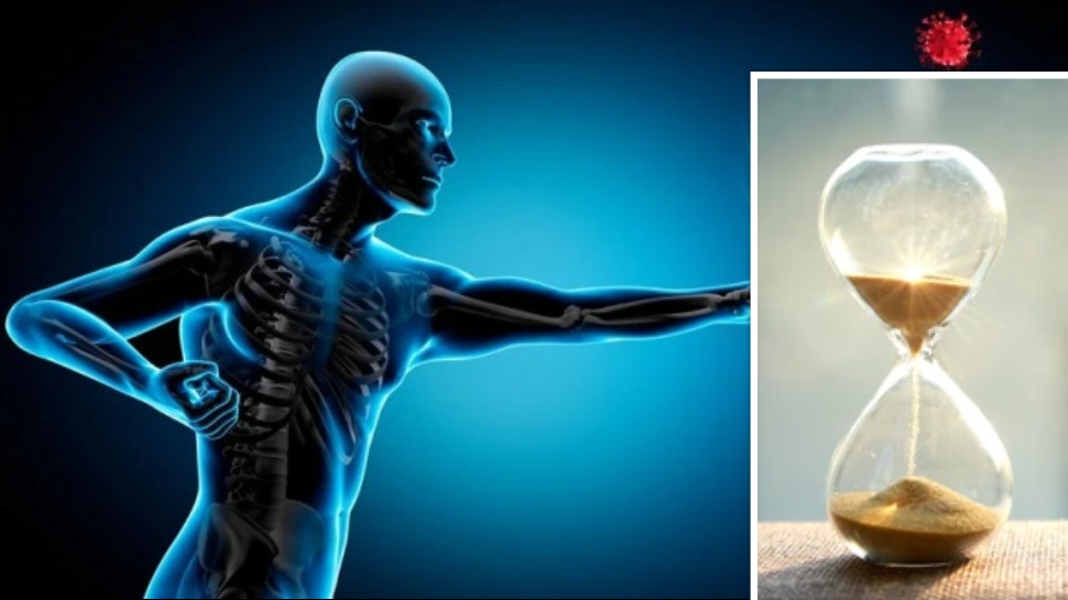 Immune System: ఈ టిప్స్ పాటిస్తే 100 ఏళ్లు బతికేస్తారు.. అద్భుతమైన టిప్స్ ఇవే! Immune System: ఈ టిప్స్ పాటిస్తే 100 ఏళ్లు బతికేస్తారు.. అద్భుతమైన టిప్స్ ఇవే!