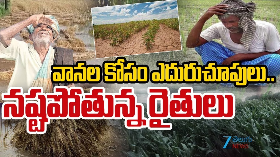 No Rains in Telangana Few districts Farmers in trouble due to lack of ...