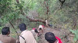 Tirumala: తిరుమలలో కలకలం... మోకాళ్ల పర్వతం వద్ద లోయలోకి దూకిన వ్యక్తి